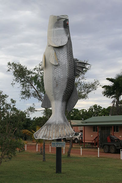 Big Barramundi