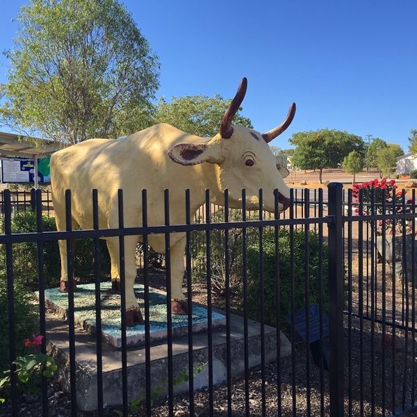 Big Bullock