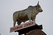 Big Bulls