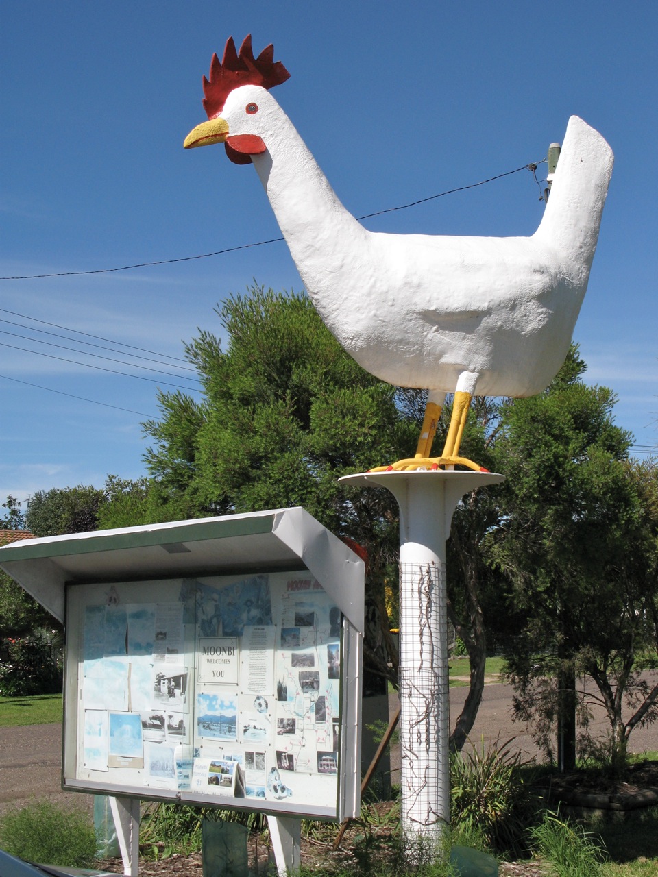 Big Chook