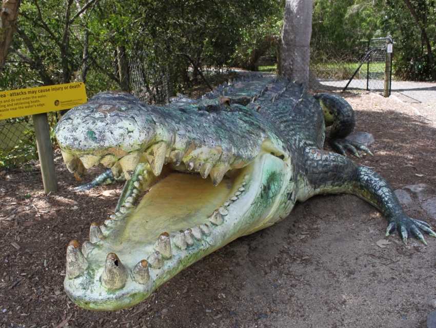 Big Crocodile