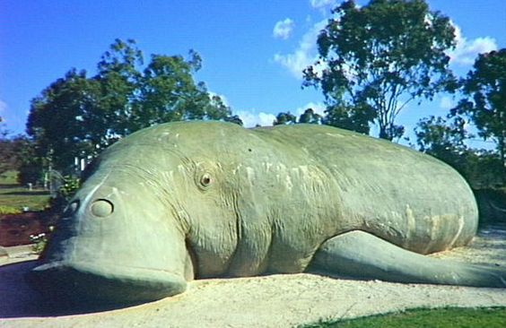 Big Dugong