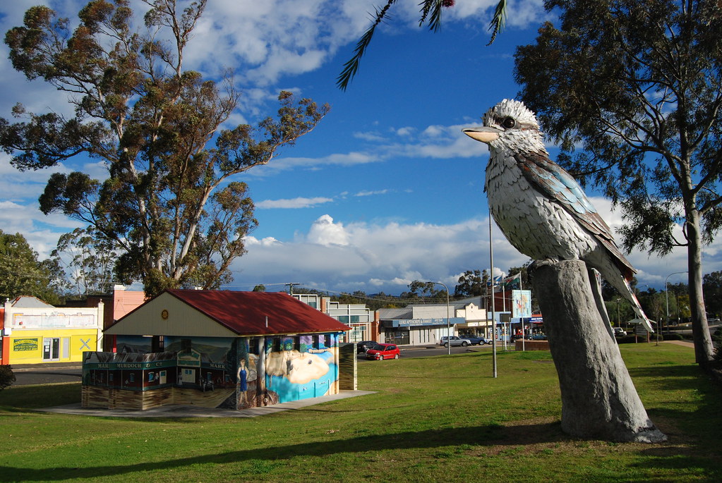 Big Kookaburra
