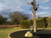Big Meat Ant