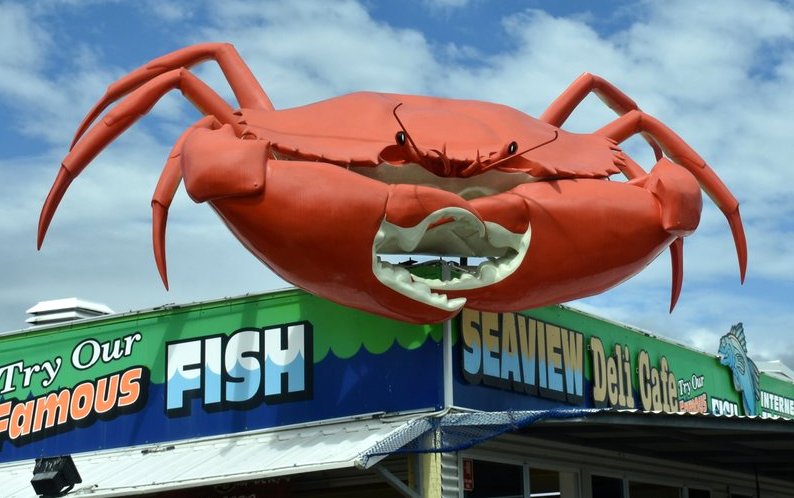 Big Mud Crab