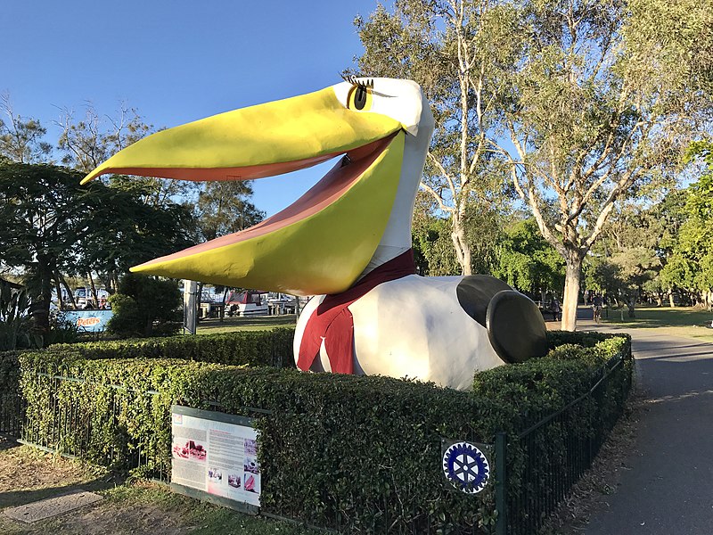 Big Pelican