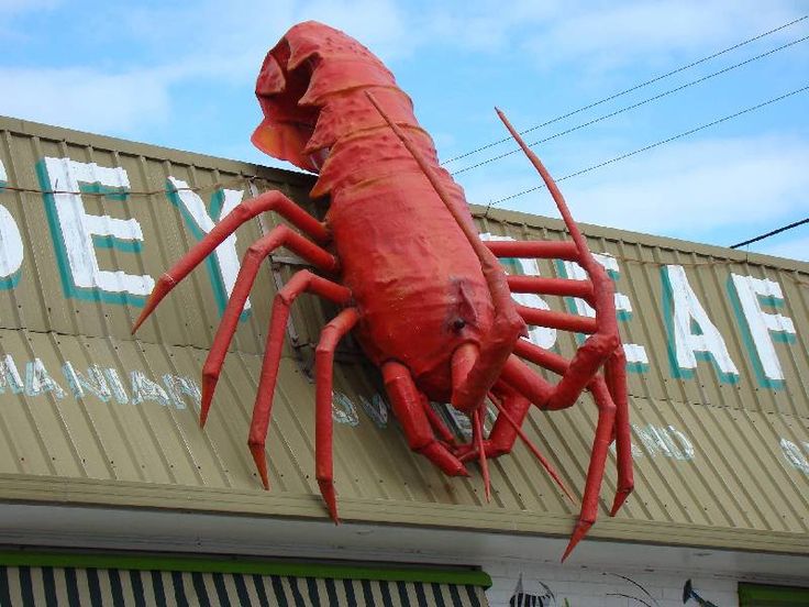 Big Rock Lobster