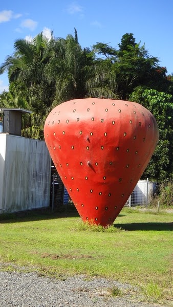 Big Strawberry