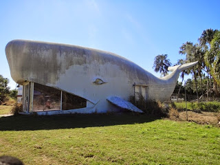 Big Whale