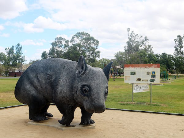Big Wombat