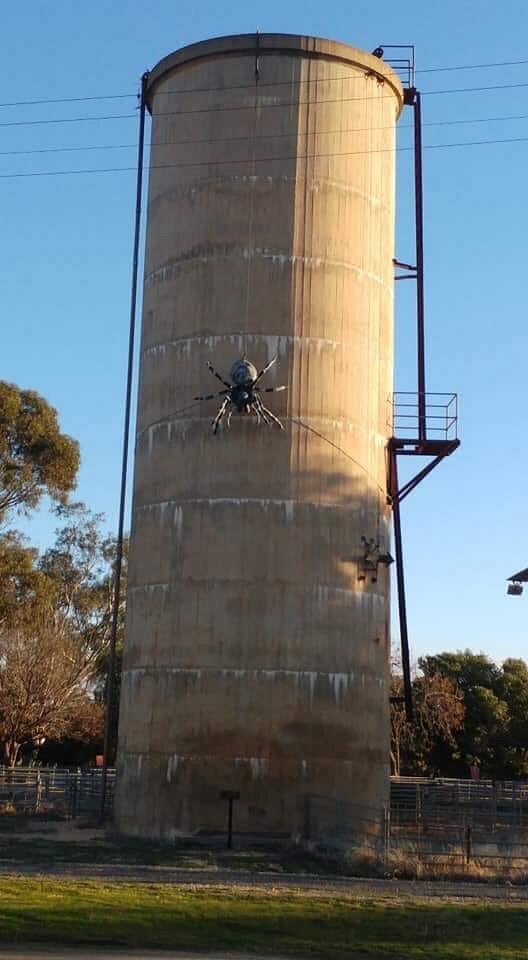 Big Spider